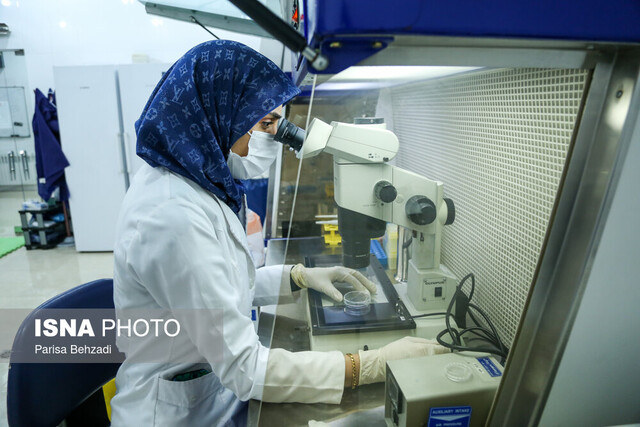 سیر صعودی دیابت در ایران / هوش مصنوعی به کمک درمان می آید؟