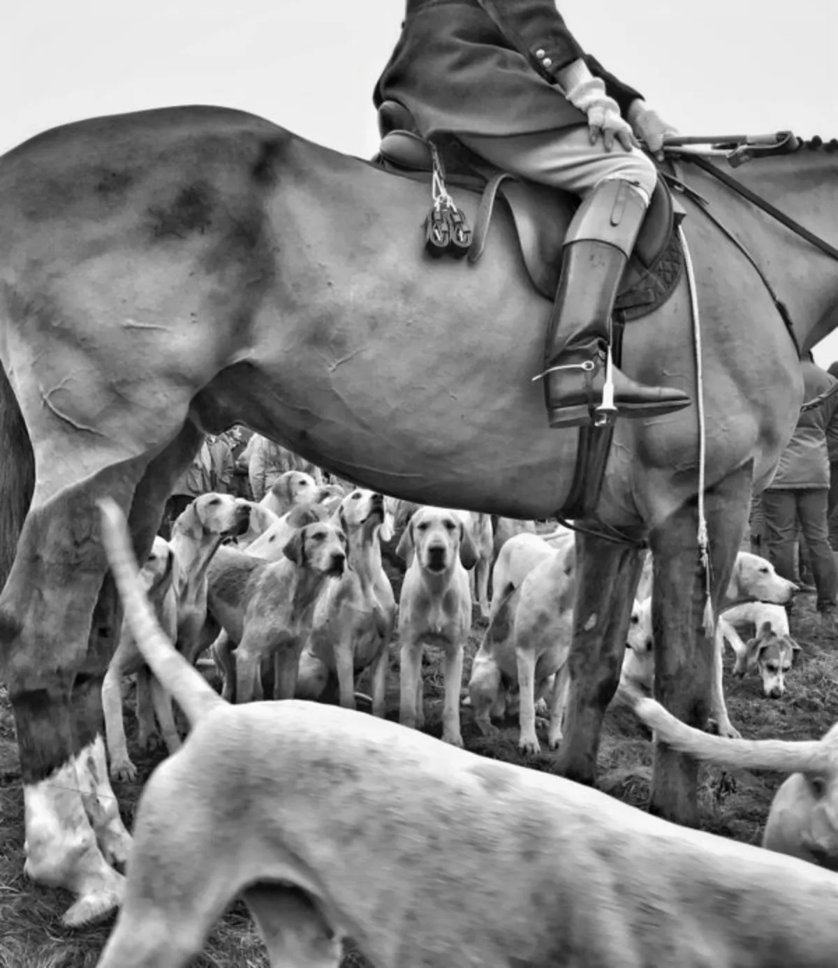 برندگان مسابقه عکاسی آیفون ۲۰۲۴ معرفی شدند