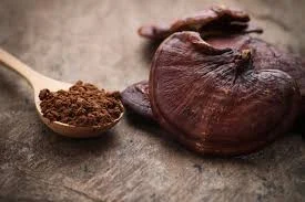 مقدار معین و توصیه شده برای مصرف روزانه گانودرما