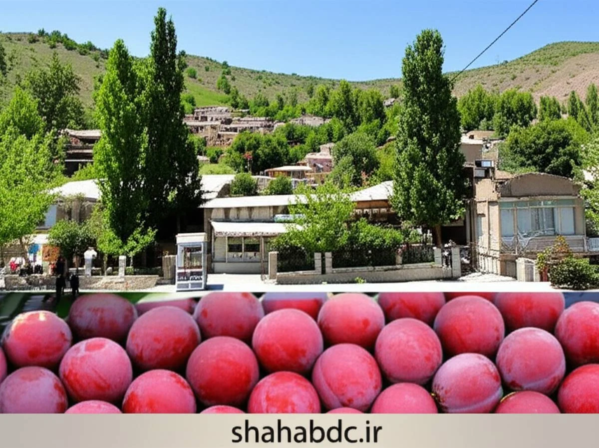 گردشگری 987654321012-3