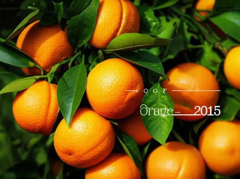 Orange (محصول سال ۲۰۱۵) – هر آنچه باید بدانید