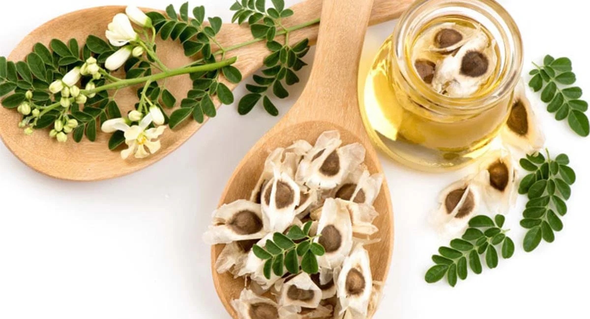 خواص شگفت انگیز روغن مورینگا برای پوست